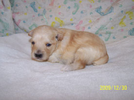 click here to see me grow!