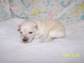 click on me to see mw grow