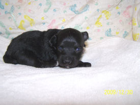 click here to see me grow