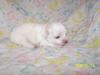click here to see me grow